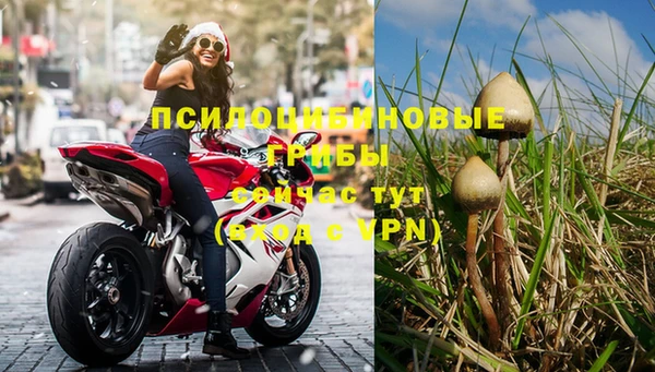 не бодяженный Медногорск