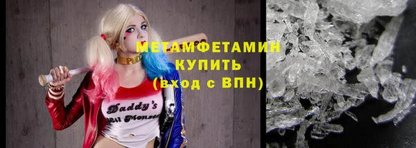 прущие грибы Михайловка
